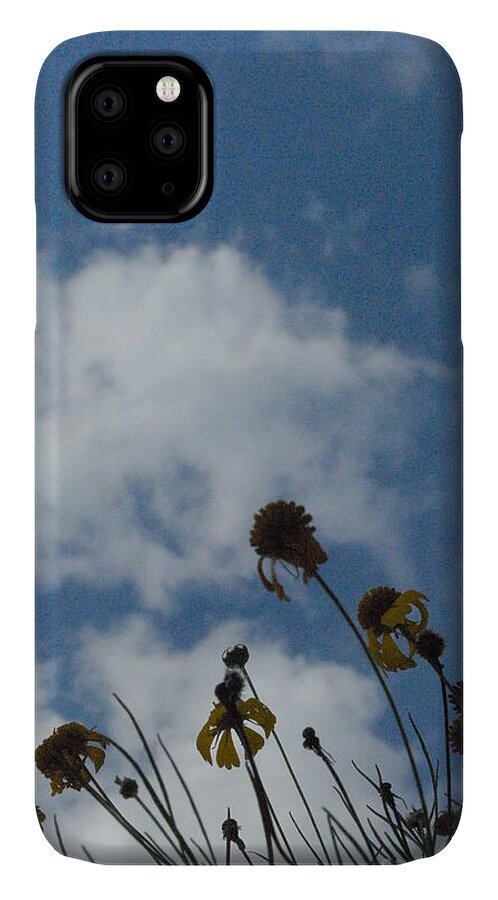 Silhouetted Wildflowers and Clouds - Phone Case