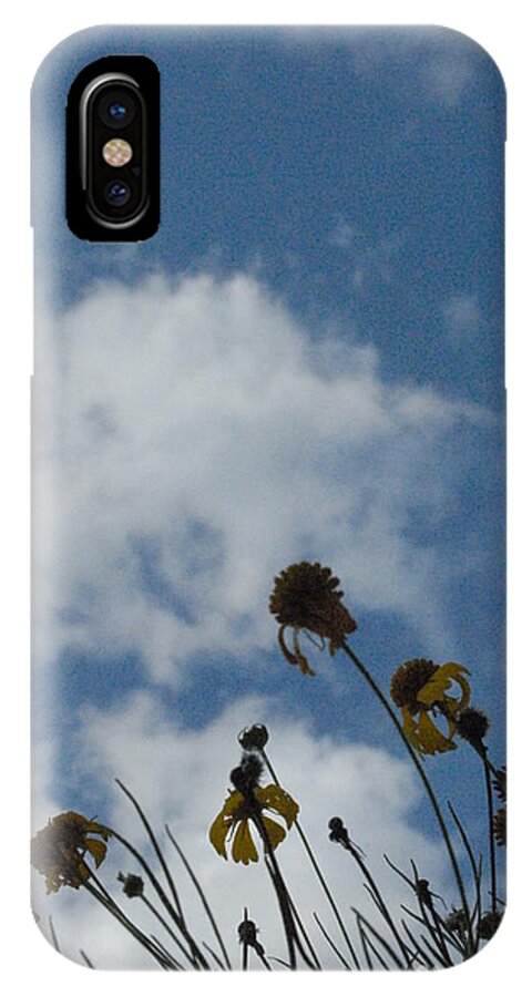 Silhouetted Wildflowers and Clouds - Phone Case