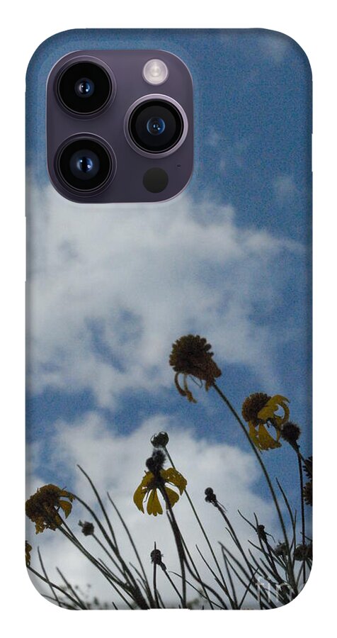Silhouetted Wildflowers and Clouds - Phone Case