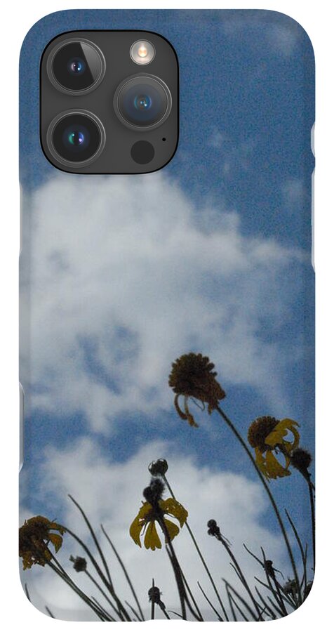 Silhouetted Wildflowers and Clouds - Phone Case