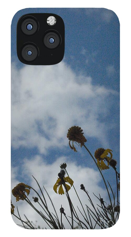 Silhouetted Wildflowers and Clouds - Phone Case