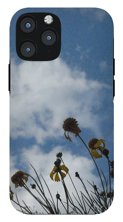 Silhouetted Wildflowers and Clouds - Phone Case