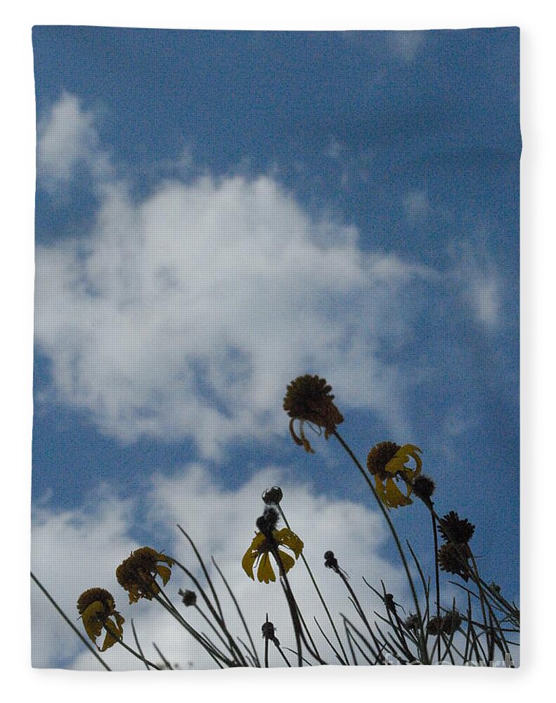 Silhouetted Wildflowers and Clouds - Blanket