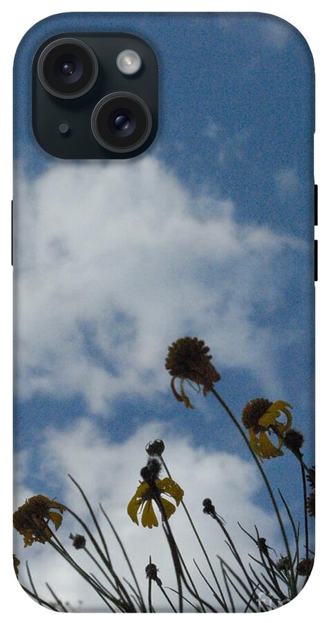 Silhouetted Wildflowers and Clouds - Phone Case