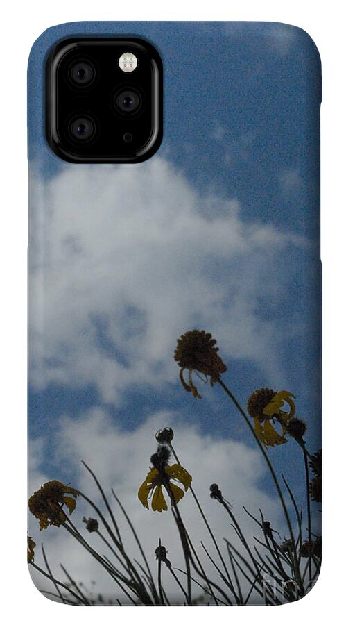 Silhouetted Wildflowers and Clouds - Phone Case