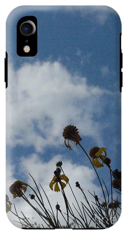 Silhouetted Wildflowers and Clouds - Phone Case