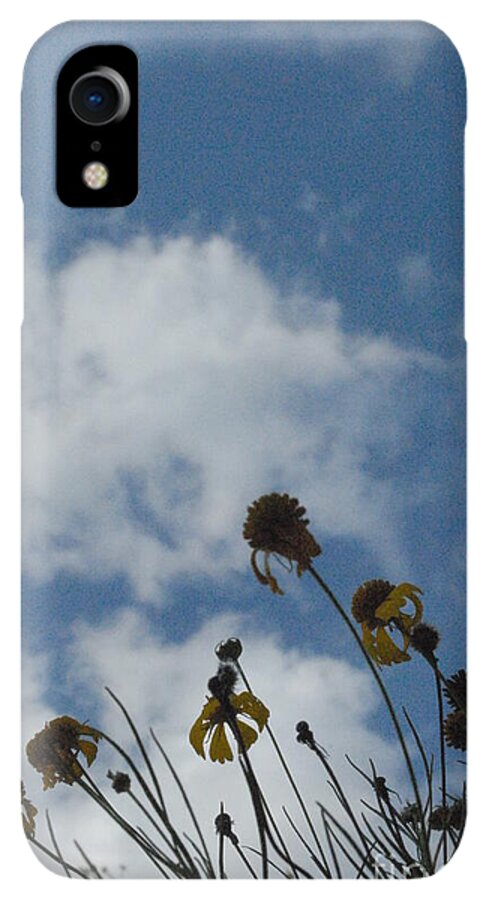 Silhouetted Wildflowers and Clouds - Phone Case