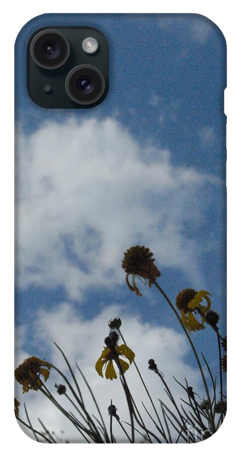 Silhouetted Wildflowers and Clouds - Phone Case