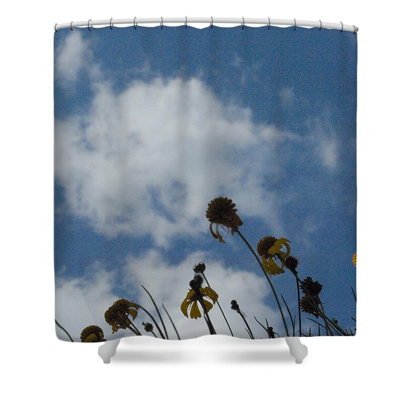 Silhouetted Wildflowers and Clouds - Shower Curtain