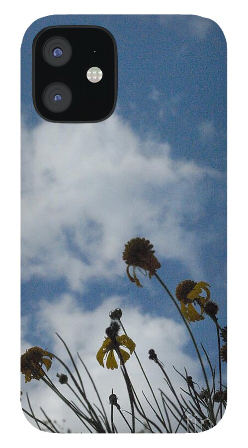 Silhouetted Wildflowers and Clouds - Phone Case