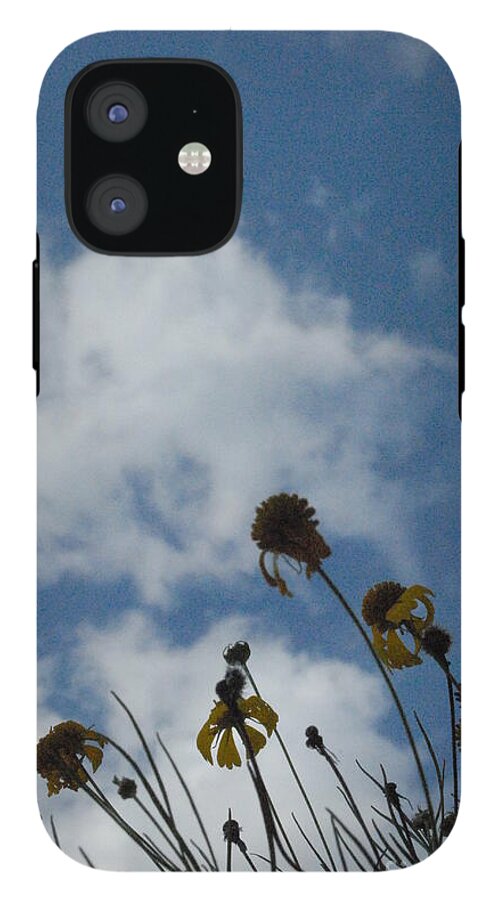 Silhouetted Wildflowers and Clouds - Phone Case
