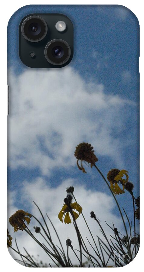 Silhouetted Wildflowers and Clouds - Phone Case