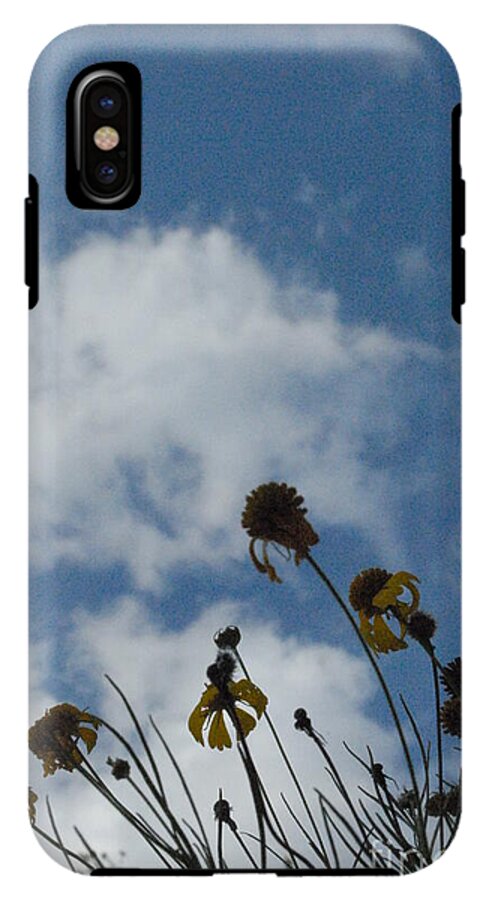 Silhouetted Wildflowers and Clouds - Phone Case