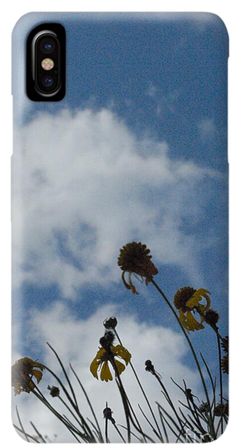 Silhouetted Wildflowers and Clouds - Phone Case