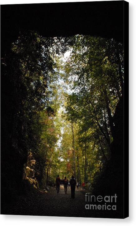 Stroll Through Forest Tunnel - Canvas Print