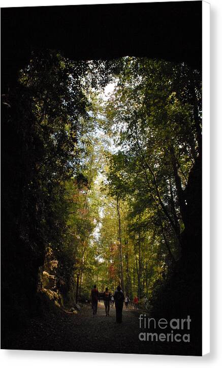 Stroll Through Forest Tunnel - Canvas Print