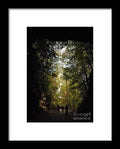 Stroll Through Forest Tunnel - Framed Print