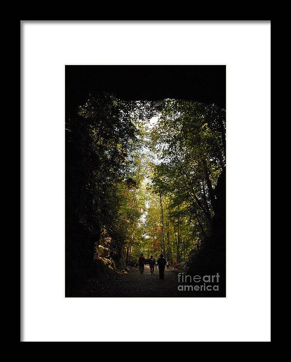 Stroll Through Forest Tunnel - Framed Print