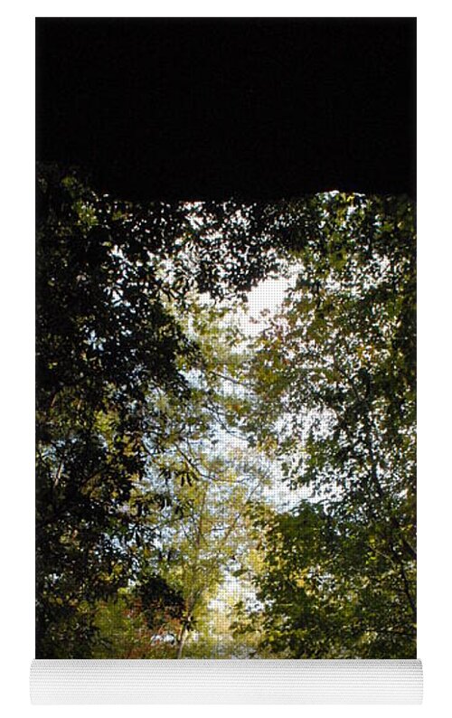 Stroll Through Forest Tunnel - Yoga Mat