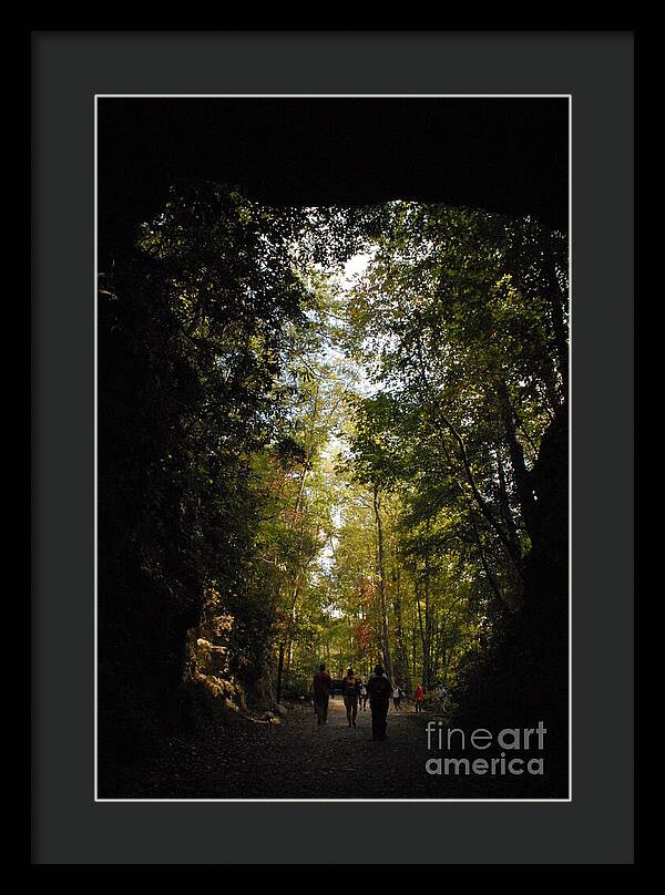 Stroll Through Forest Tunnel - Framed Print