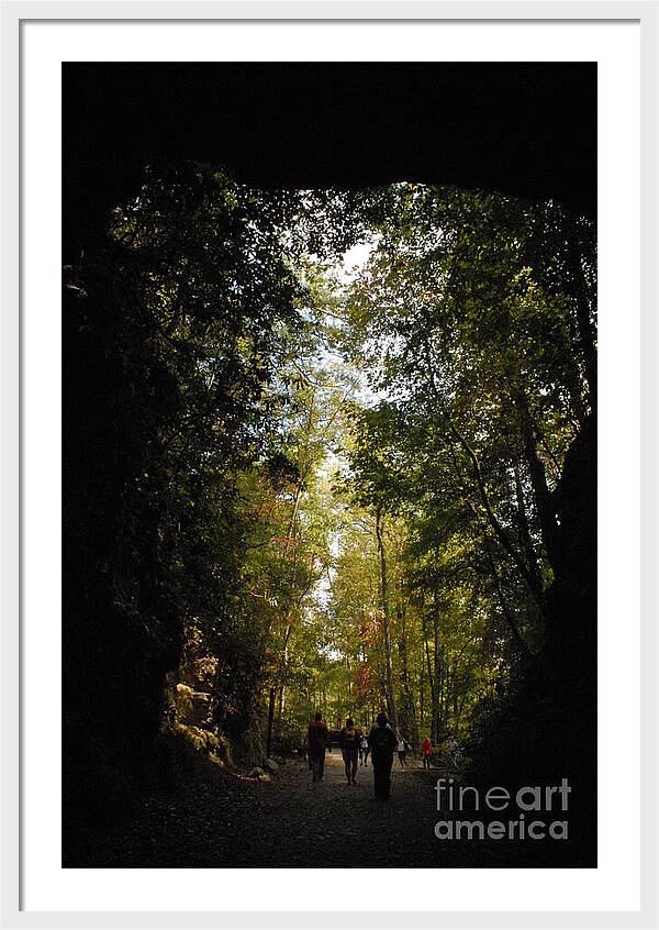 Stroll Through Forest Tunnel - Framed Print