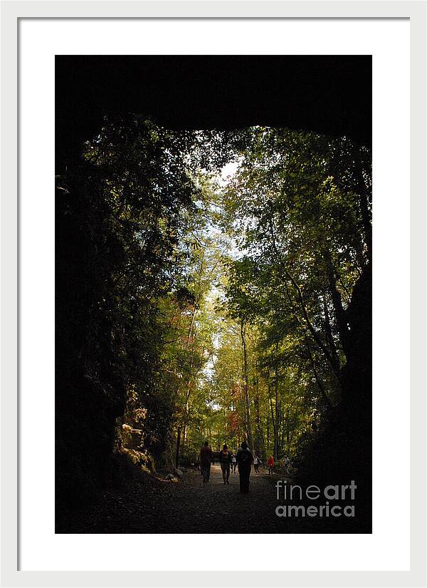 Stroll Through Forest Tunnel - Framed Print