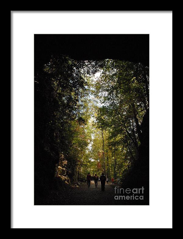 Stroll Through Forest Tunnel - Framed Print