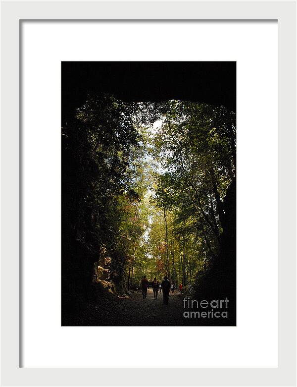 Stroll Through Forest Tunnel - Framed Print