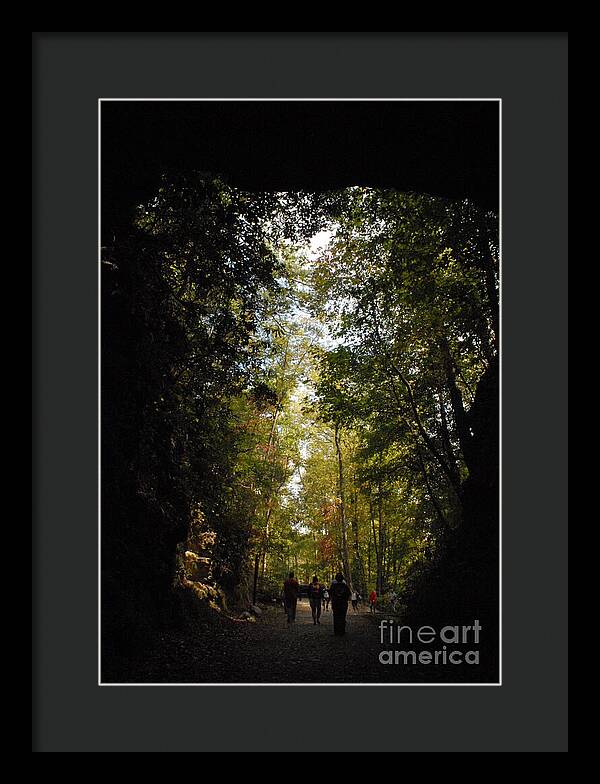 Stroll Through Forest Tunnel - Framed Print