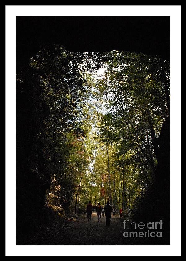 Stroll Through Forest Tunnel - Framed Print