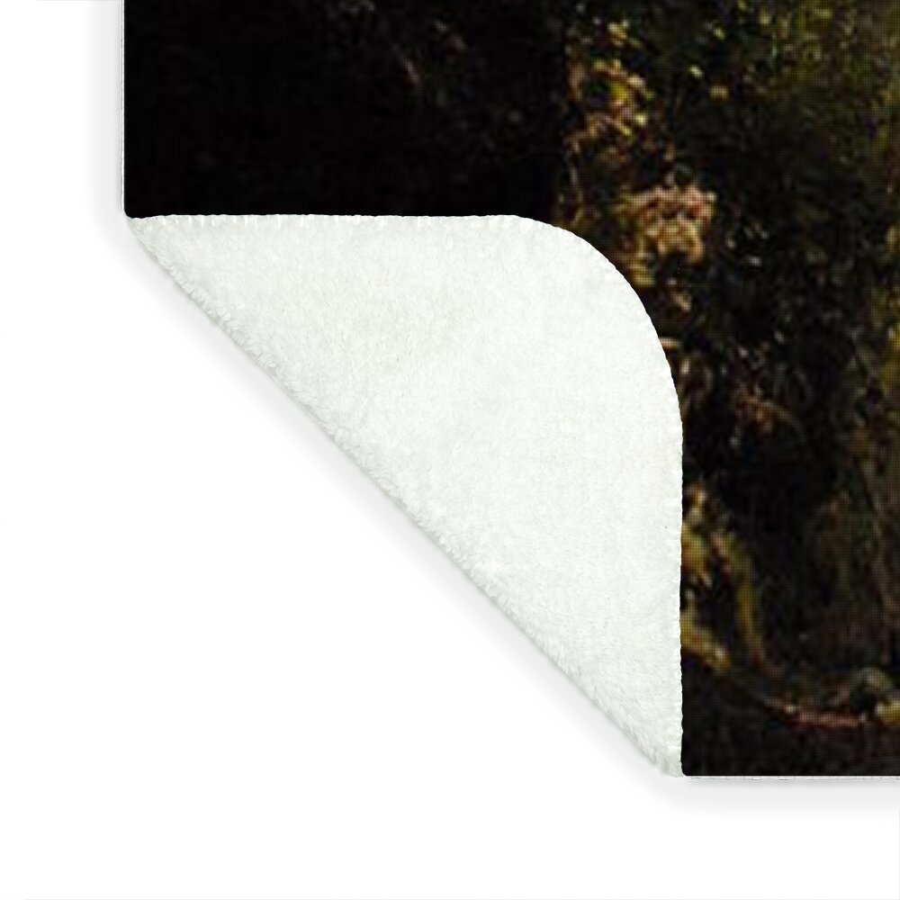 Stroll Through Forest Tunnel - Blanket
