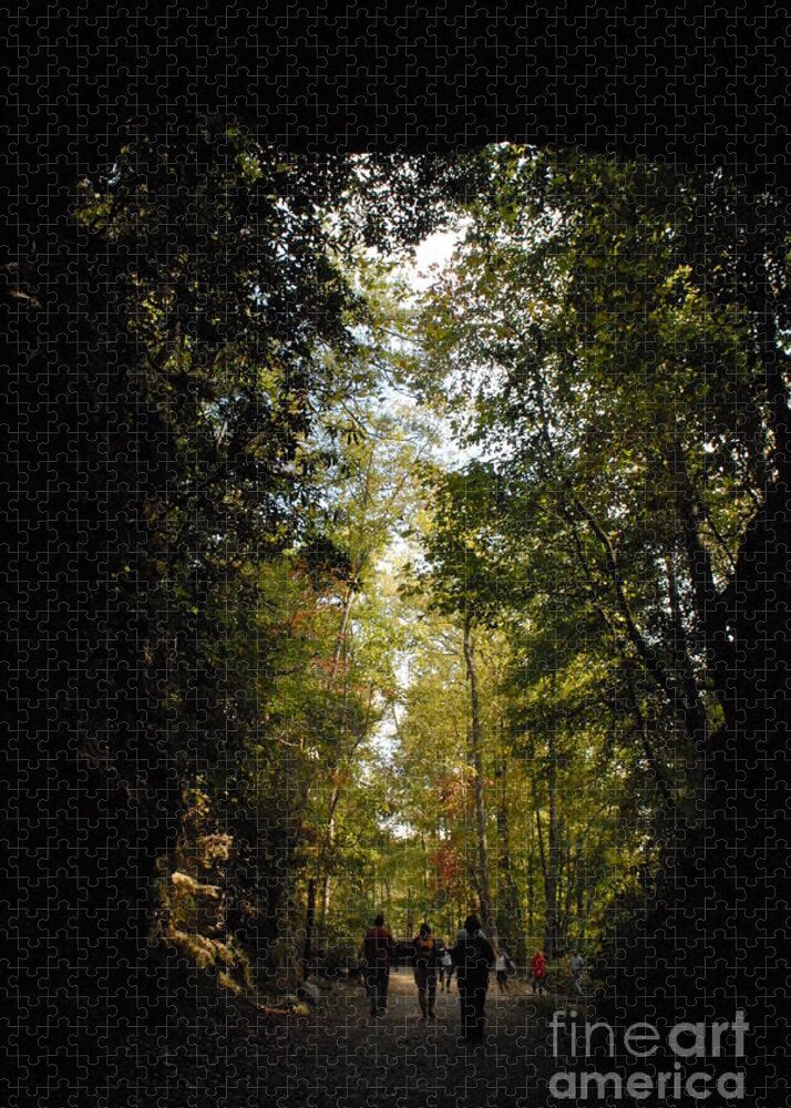 Stroll Through Forest Tunnel - Puzzle