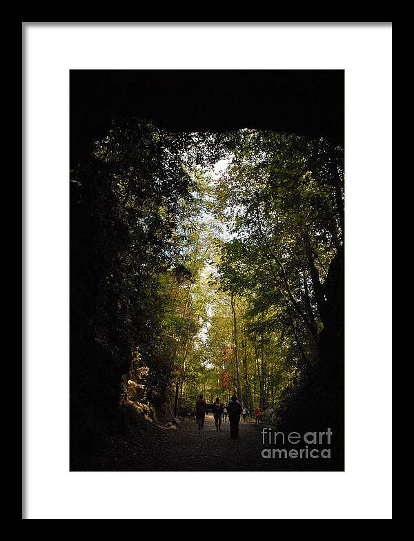 Stroll Through Forest Tunnel - Framed Print