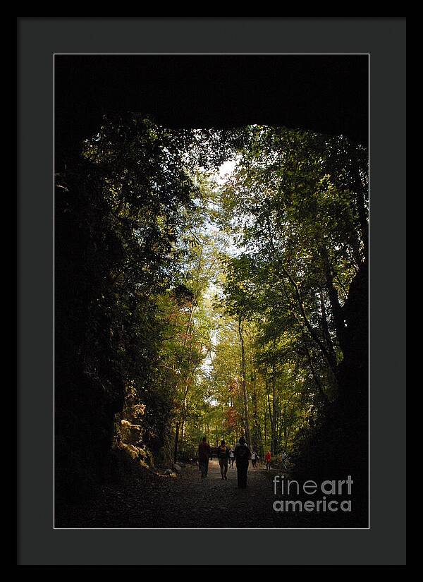 Stroll Through Forest Tunnel - Framed Print