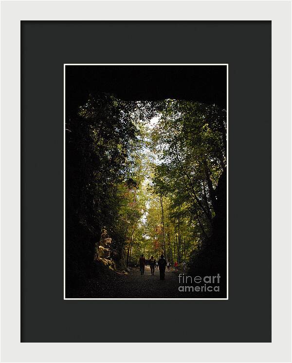 Stroll Through Forest Tunnel - Framed Print