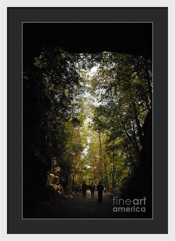 Stroll Through Forest Tunnel - Framed Print