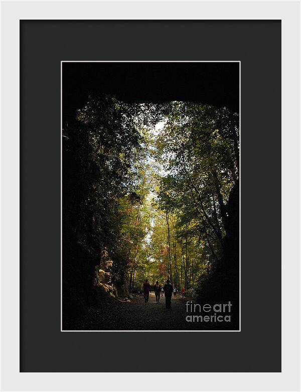 Stroll Through Forest Tunnel - Framed Print