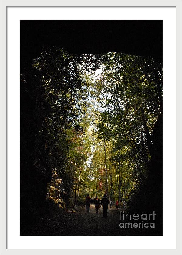 Stroll Through Forest Tunnel - Framed Print
