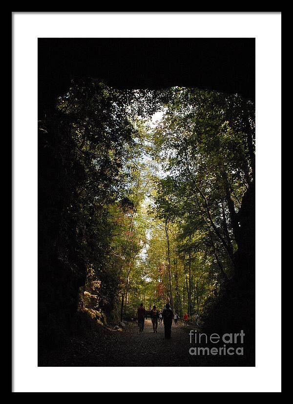 Stroll Through Forest Tunnel - Framed Print