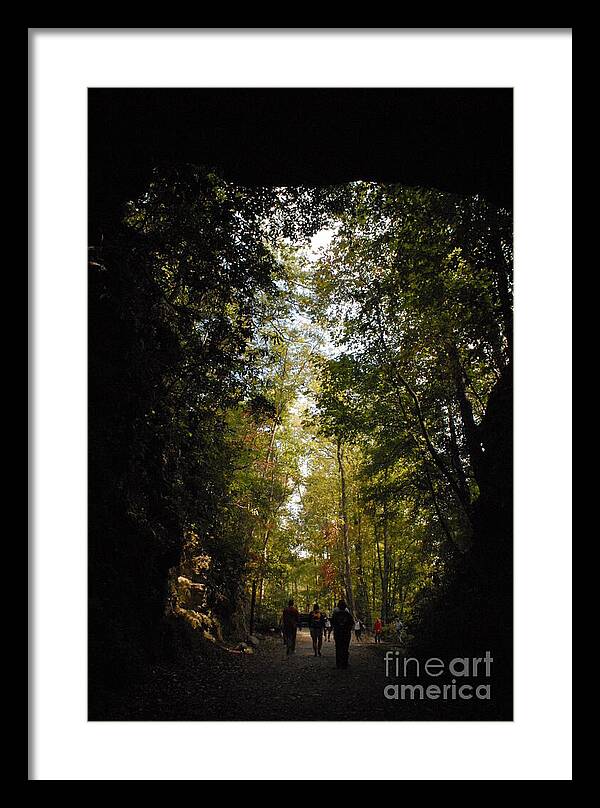 Stroll Through Forest Tunnel - Framed Print