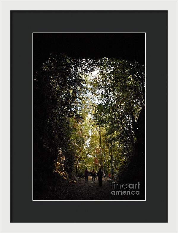 Stroll Through Forest Tunnel - Framed Print