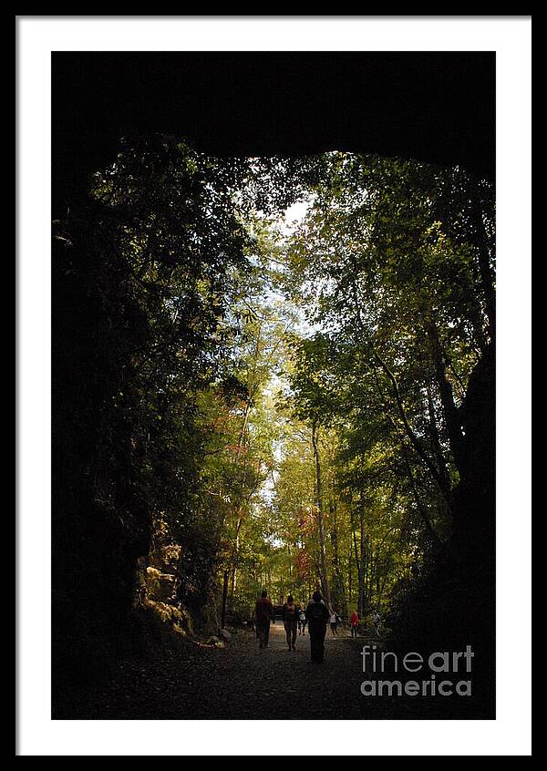 Stroll Through Forest Tunnel - Framed Print