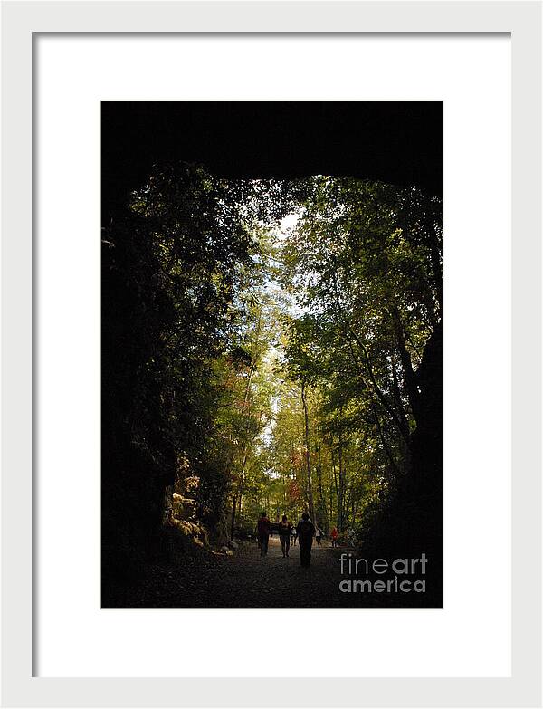 Stroll Through Forest Tunnel - Framed Print