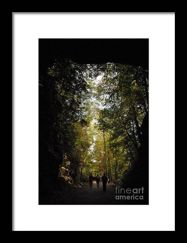 Stroll Through Forest Tunnel - Framed Print