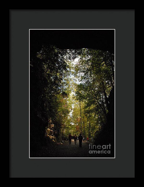 Stroll Through Forest Tunnel - Framed Print