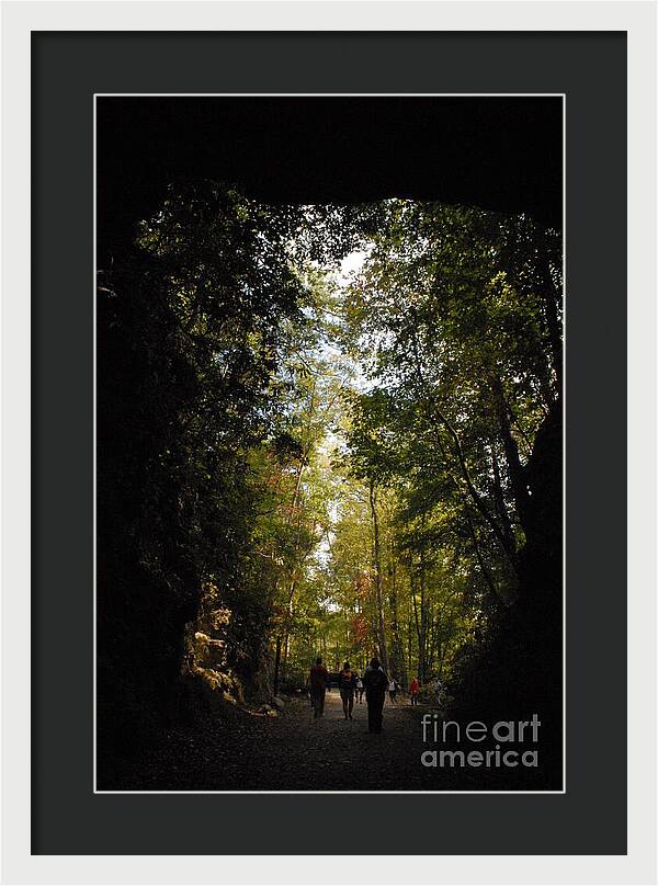 Stroll Through Forest Tunnel - Framed Print