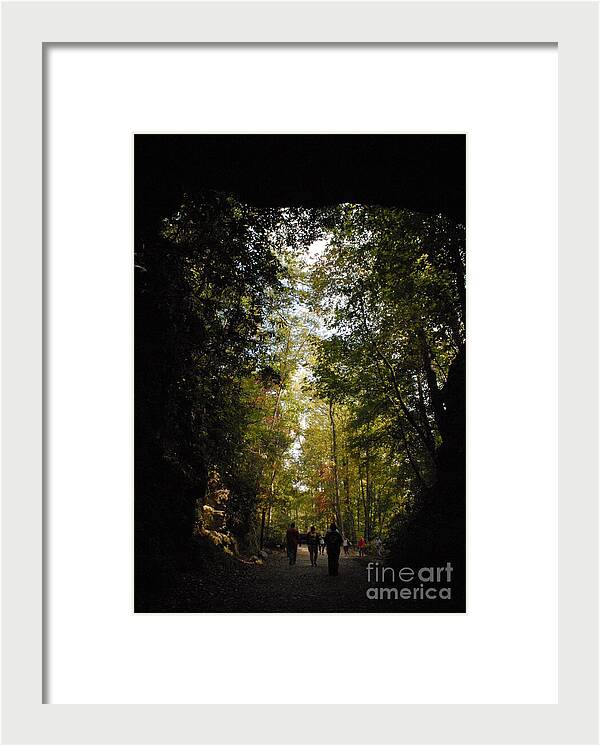 Stroll Through Forest Tunnel - Framed Print