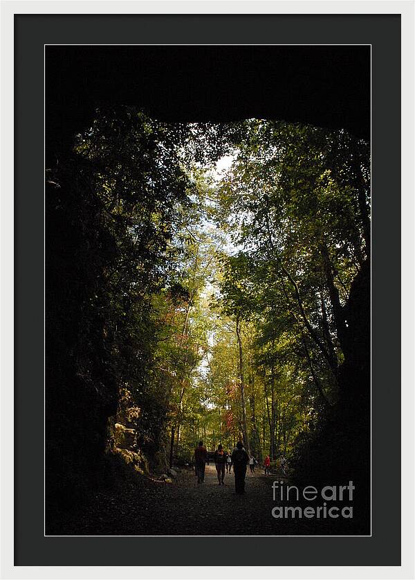 Stroll Through Forest Tunnel - Framed Print