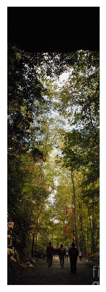 Stroll Through Forest Tunnel - Yoga Mat