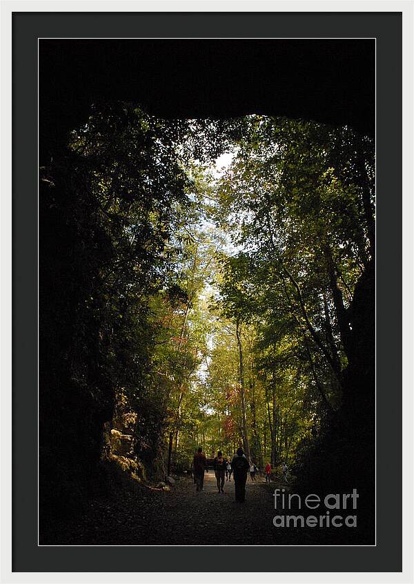 Stroll Through Forest Tunnel - Framed Print